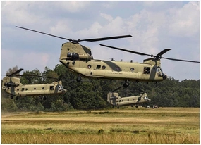 1000 Piece Multicolor Jigsaw Puzzle - Army CH-47 Chinook Helicopters Lift Off, Grafenwoehr Training Area, Germany