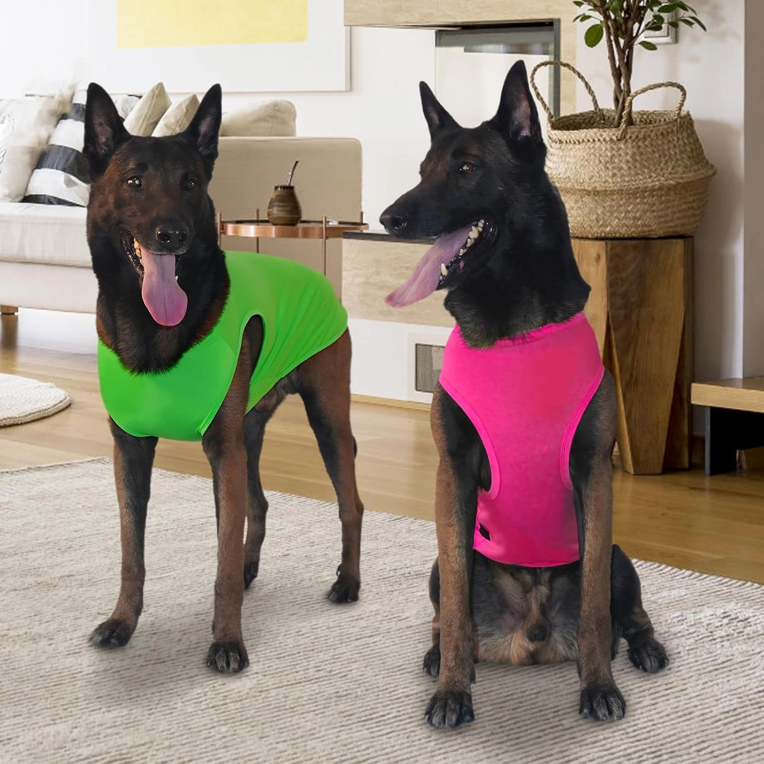 2 Pack Dog Cooling Shirts, Ice Pet Vest Dog Clothes for Instant Cooling, Lightweight Breathable Sleeveless T-Shirts for Large Dogs, Bright red Fresh Green (XL)