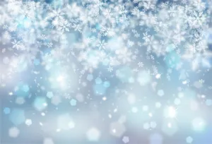7x5ft Falling Snowflake Portrait Backdrops for Photography Winter Ice Snow Flakes Photo Shoot Newborn Kids Baby Adults Wedding Photo Background Vinyl Photo Booth Props