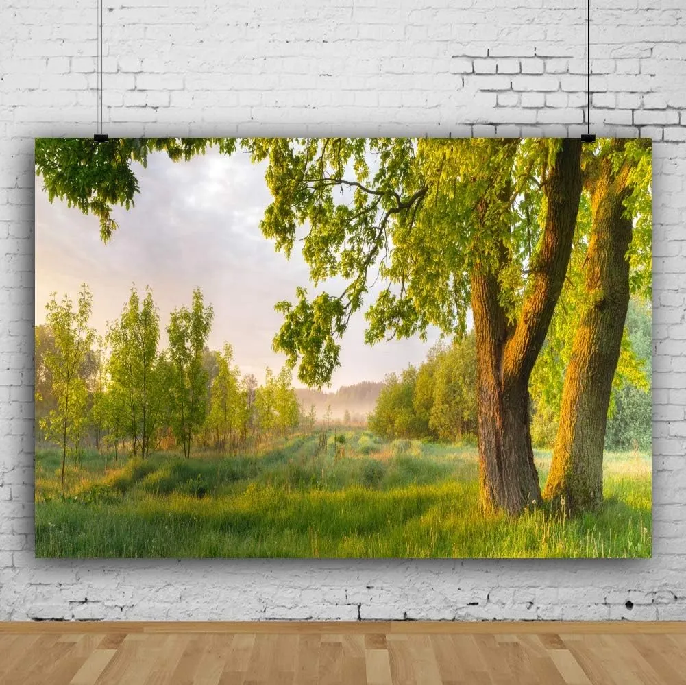 7x5ft Spring Rural Scenery Backdrop Aged Tree Country Field Grassland Blue Sky White Clouds Photography Background Outdoor Picnic Leisure Vacation Tour Family Portraits Photo Props Vinyl