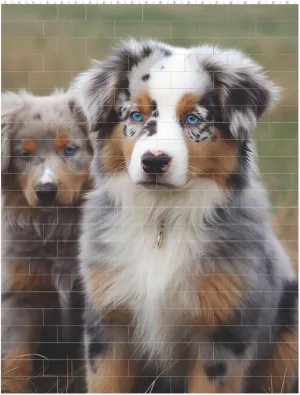 Australian Shepherd Building Block Puzzle Personalized Building Bricks for Adults Square Shaped Block Puzzle Building Brick Block Puzzles Valentine's Day Gifts for Home Decor Brick Puzzle