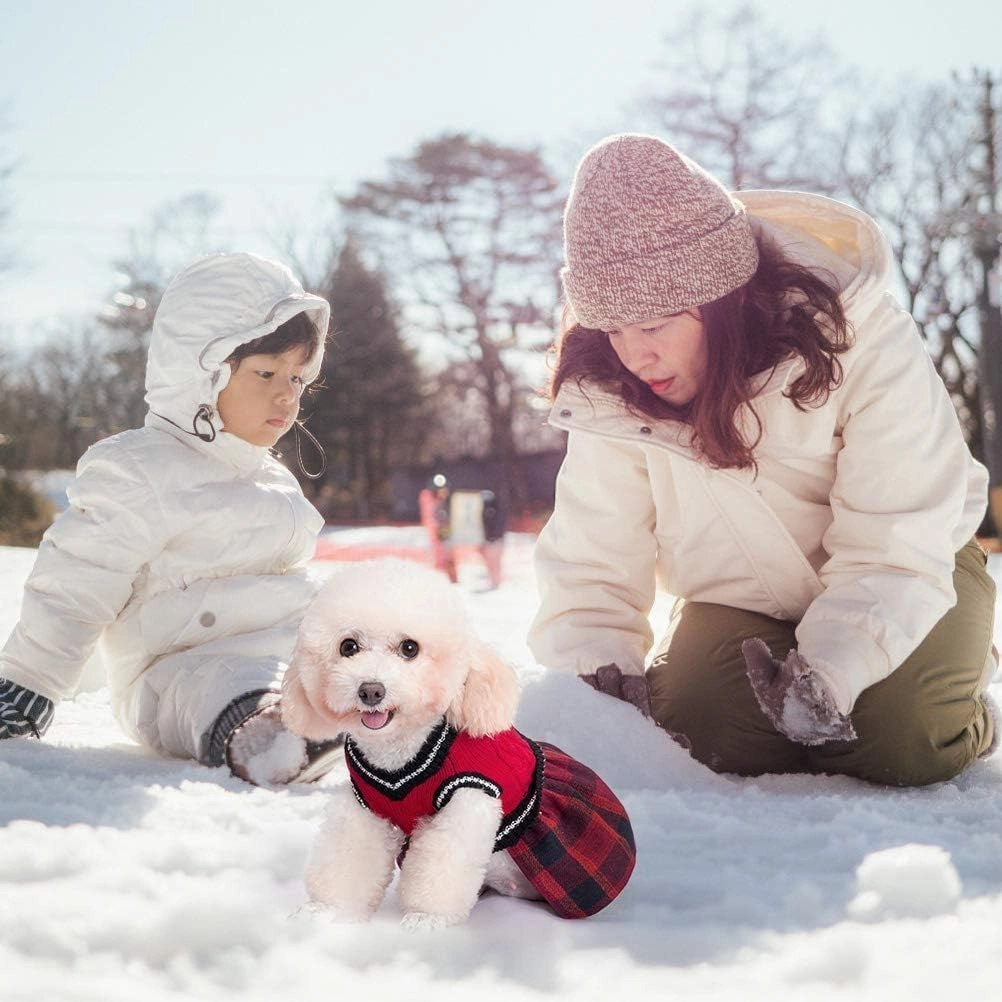 BINGPET Dog & Cat Sweater Dress Plaid, Christmas Turtleneck Clothes with Leash Hole V-Neck Knitwear Pet Sweater One-Piece Dress for Small & Medium Dogs & Cats