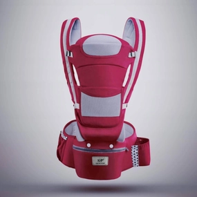 BlissfulGlide 4-in-1 Baby Voyage Carrier