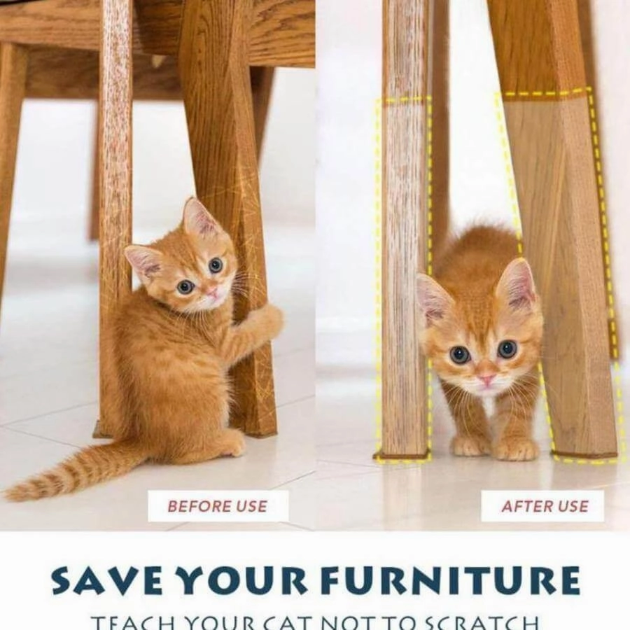 Cat Scratch Mat - Furniture Protection Pad