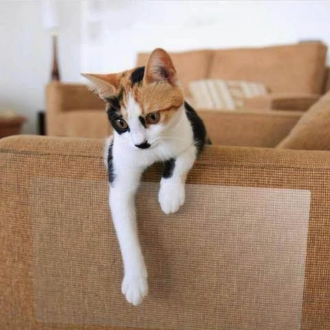 Cat Scratch Mat - Furniture Protection Pad