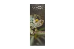 Chameleon Apple Skin Bookmark