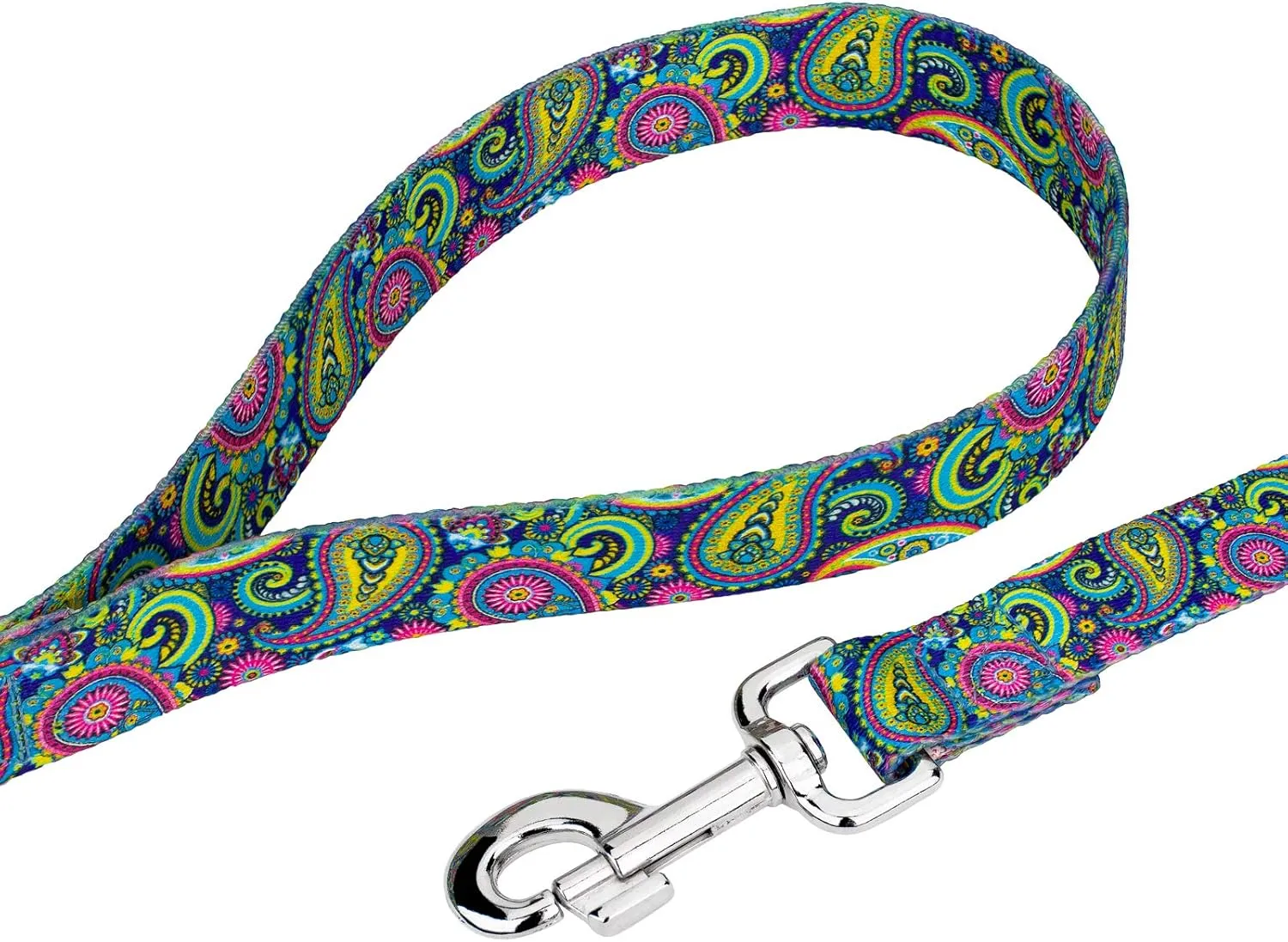 Country Brook Petz - 1 Inch Bright Paisley Dog Leash, 6 Foot