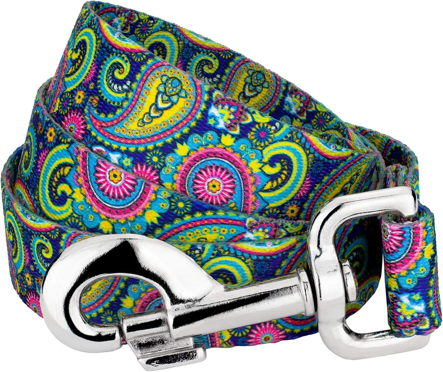 Country Brook Petz - 1 Inch Bright Paisley Dog Leash, 6 Foot