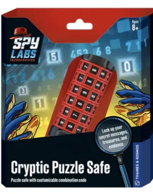 Cryptic Puzzle Safe