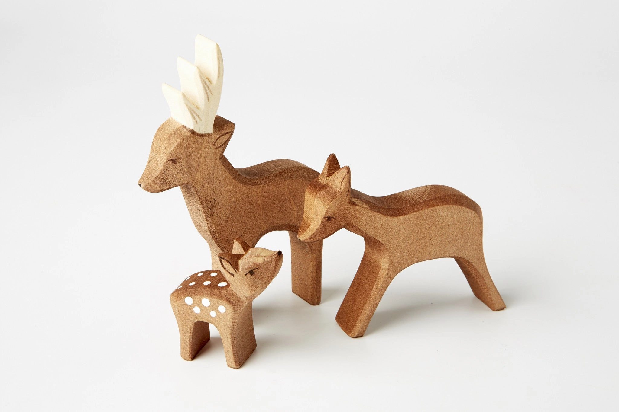 Deer Family