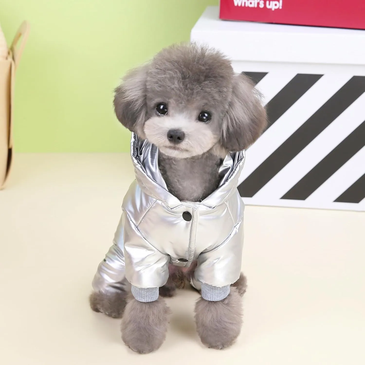Dog Coat Windproof Jacket Cold Weather Coat 4 Legs Warm Dog Jumpsuit Winter Thick Clothes Snow Proof Coat Cotton Dog Coat for Small Dog Medium Dog Cat Silver M