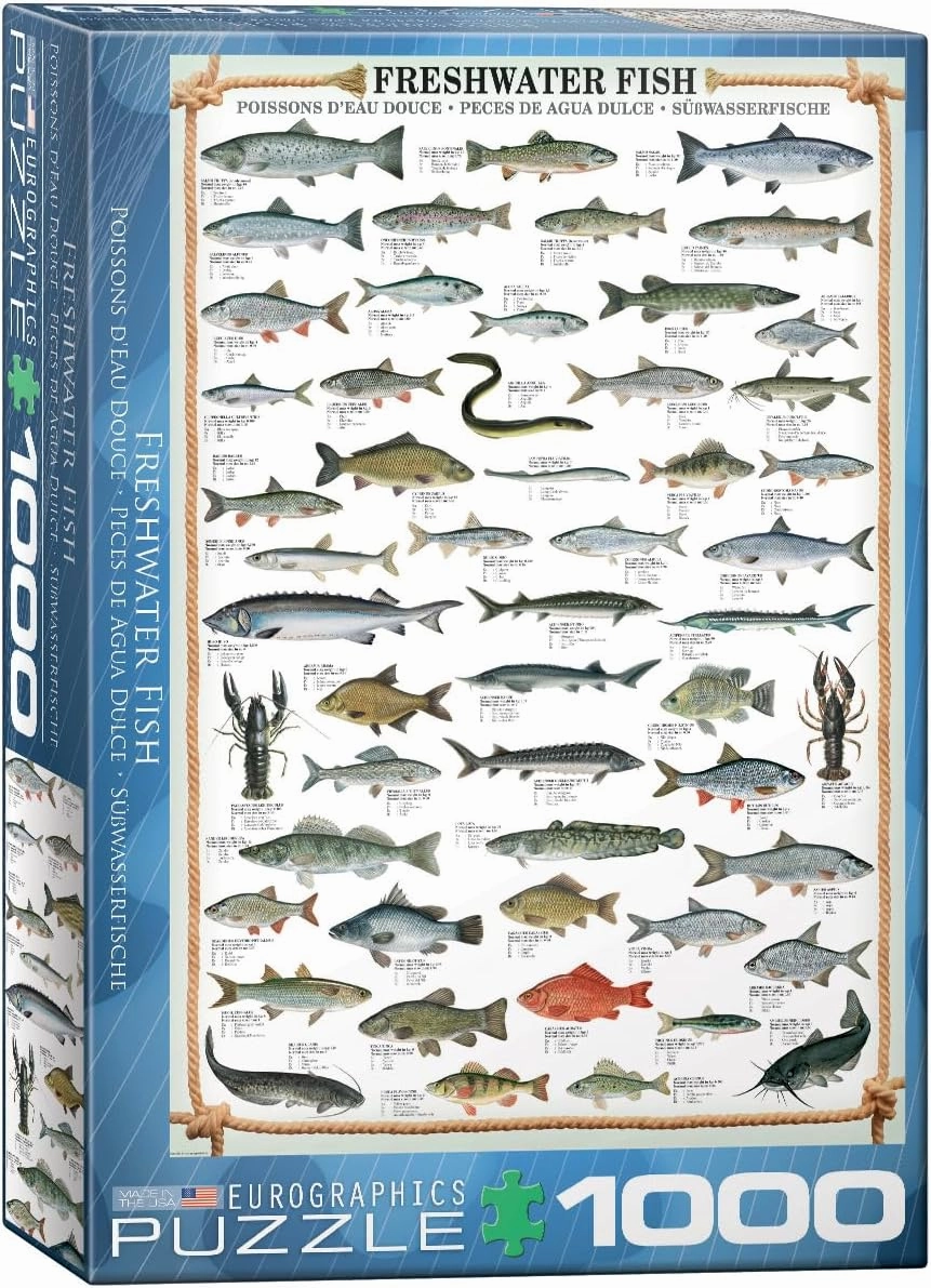 EuroGraphics Freshwater Fish 1000-Piece Puzzle