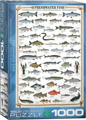 EuroGraphics Freshwater Fish 1000-Piece Puzzle