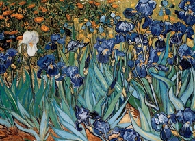 EuroGraphics Irises by Vincent Van Gogh Puzzle (1000-Piece) (6000-4364)