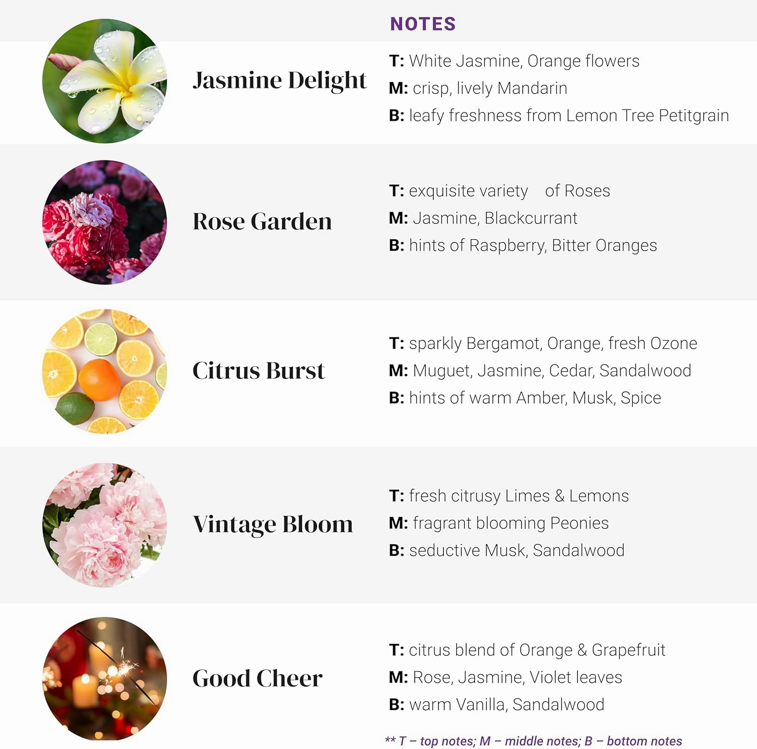 Fragrance Oil Set, Bright & Happy Fragrance Oils for Diffusers for Home, Hotel Collection Diffuser Oil Set: Jasmine Delight, Rose Garden, Citrus Burst, Vintage Bloom, Good Cheer 5 x 0.33oz