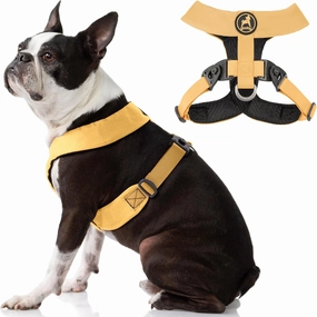 Gooby Comfort X Harness Dual Snap - Yellow, Medium - No Pull Small Dog Harness with Rotational Buckles and Patented Choke-Free X Frame - Dog Harness for Medium Dogs No Pull and Small Dogs