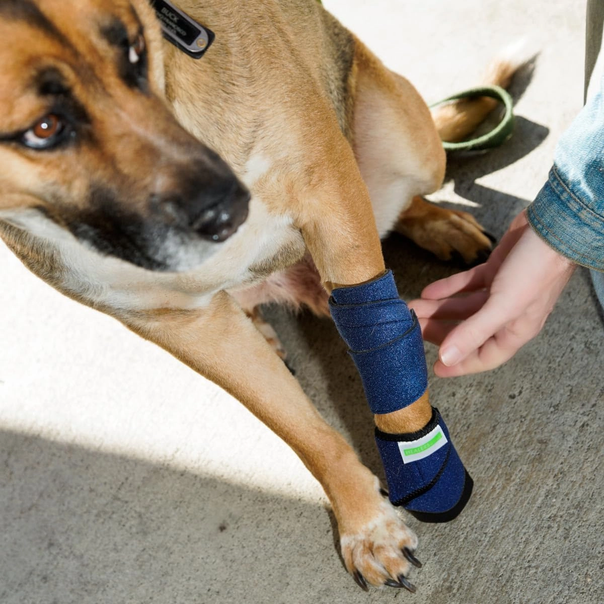 Healers Petcare Medical Dog Bootie for Wound Care & Paw Protection, Single Boot (Blue) - Non-Slip Sole, Breathable Fabric, Vet Approved (Medium)