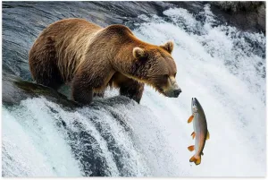 Jigsaw Puzzles 1000pcs Puzzles for Adults and Teens and Kids catching Fish Waterfall Puzzle Animal Adult Toys, Unique Difficult and Challenge Puzzle Game Toys Gift for Teen Kids