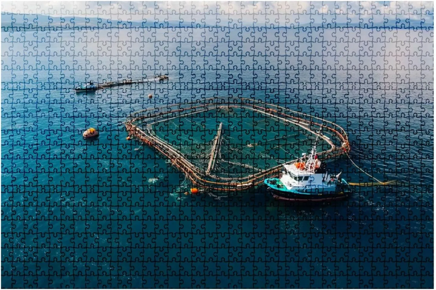 Jigsaw Puzzles Holiday Puzzles for Adults 1000 Pieces Open Sea Fish Farm Challenging Puzzles Educational Games Gift for Elders Family Friend Gift for Women Men