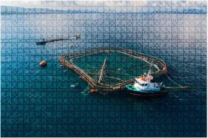 Jigsaw Puzzles Holiday Puzzles for Adults 1000 Pieces Open Sea Fish Farm Challenging Puzzles Educational Games Gift for Elders Family Friend Gift for Women Men