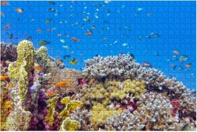 Jigsaw Puzzles 1000 Pieces for Adults Kids - beautiful coral reef lot tropical Fish Red Sea Marsa Alam Large Puzzles Pieces Fit Together Educational Intellectual Fun Game