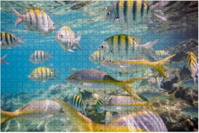 Jigsaw Puzzles 1000 Pieces for Adults Kids - Caribbean sea underwater coral reef tropical fish Large Puzzles Pieces Fit Together Educational Intellectual Fun Game