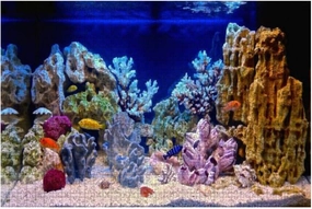 Jigsaw Puzzles 1000 Pieces for Adults Kids - Freshwater aquarium decorated a pseudo marine style Large Puzzles Pieces Fit Together Educational Intellectual Fun Game
