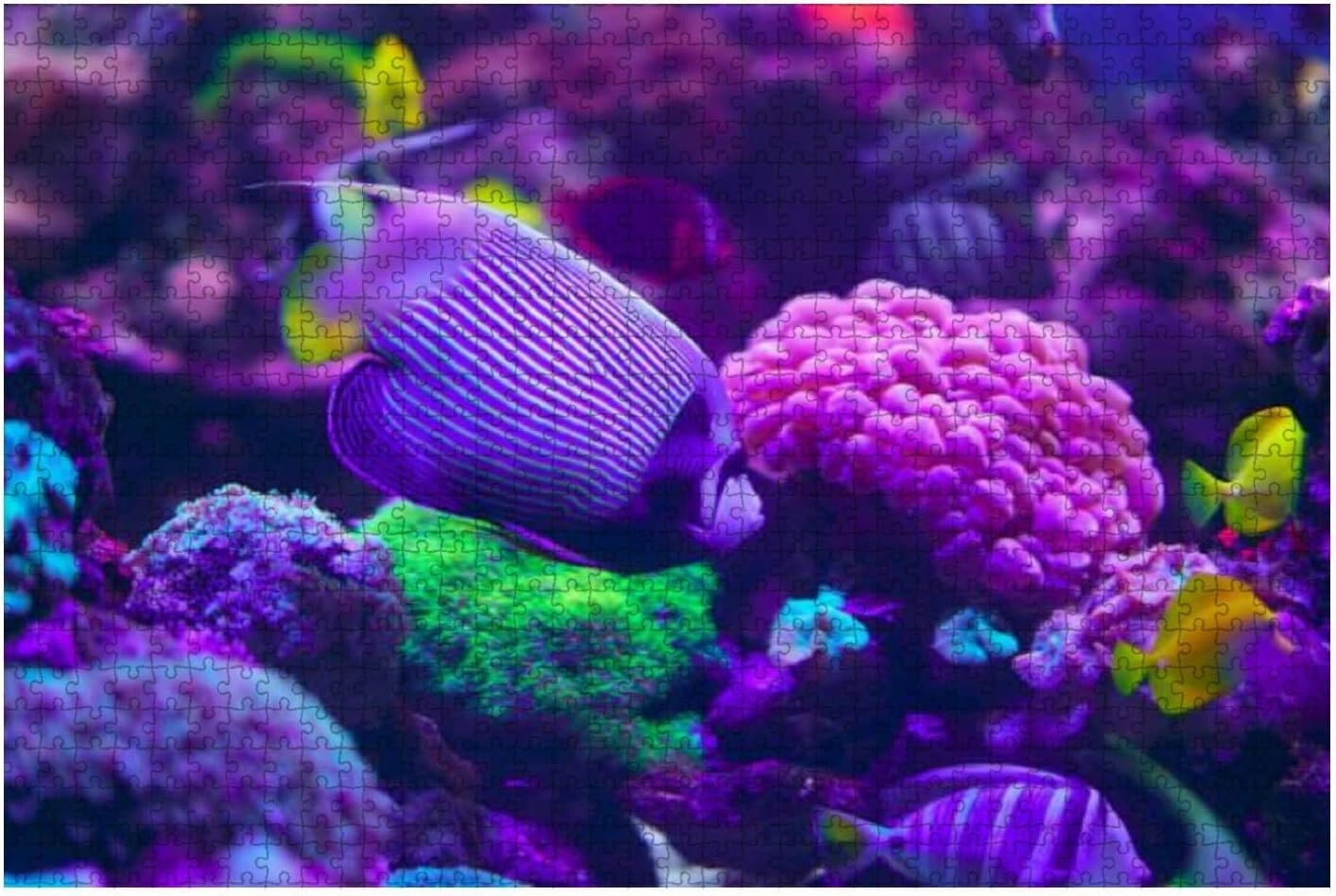 Jigsaw Puzzles 500 Pieces for Adults Kids - Tropical Fish Coral Reef Large Puzzles Pieces Fit Together Educational Intellectual Fun Game