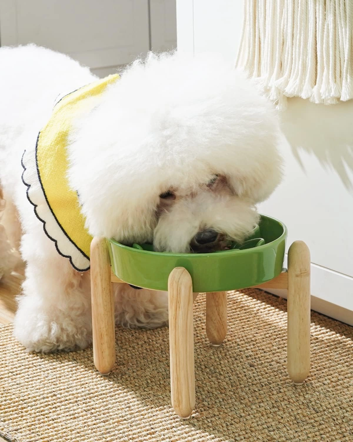 LE TAUCI Ceramic Slow Feeder Dog Bowls Elevated, 3 Cup Raised Bowl with Wooden Stand for Medium Large Breed, Slow Down Eating, Puzzle Dog Food Bowl, Clover Green