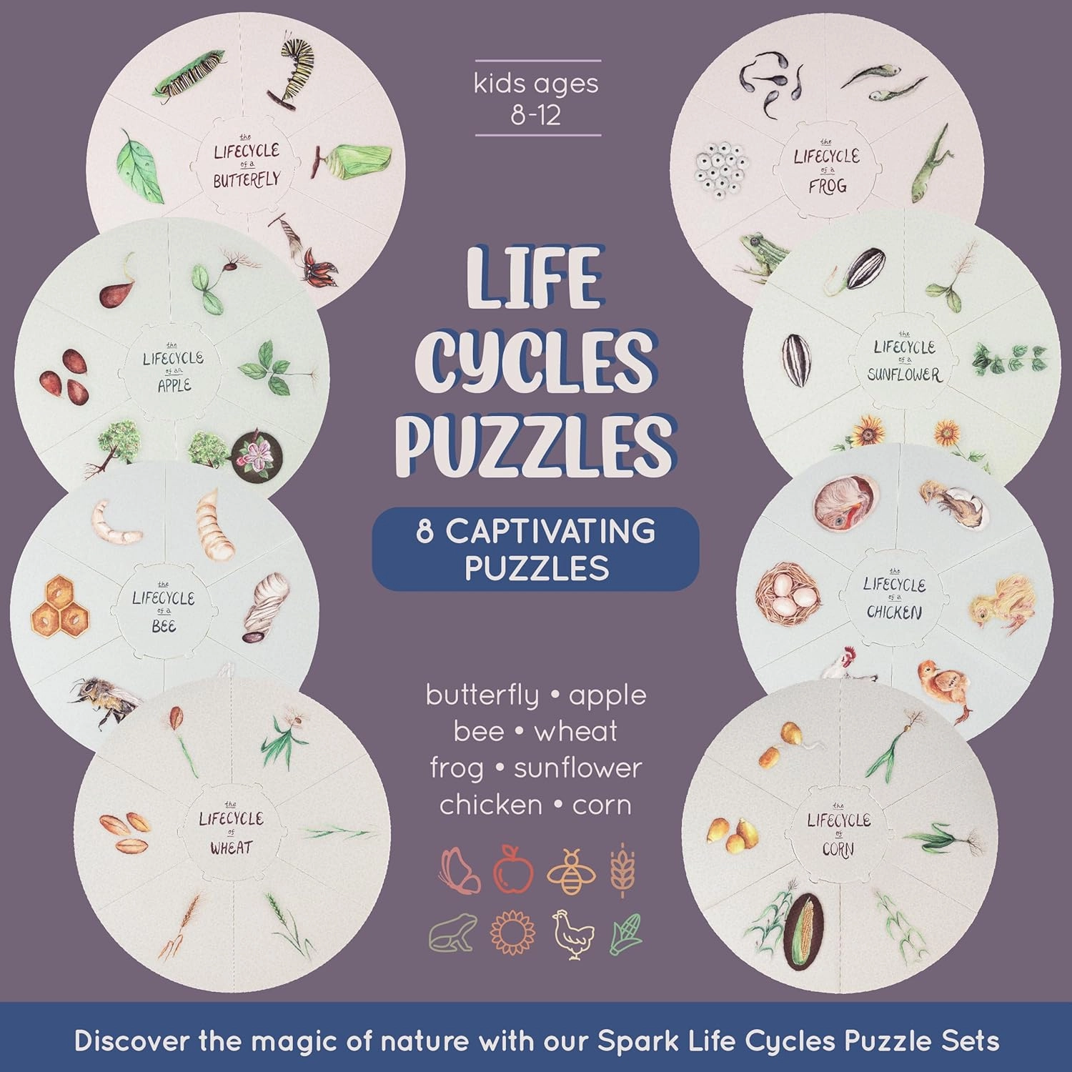 Life Cycle Puzzle Sets, Montessori Science Homeschool Supplies, Childrens Puzzle Games, Educational Toys for Kids, Classroom Must Have