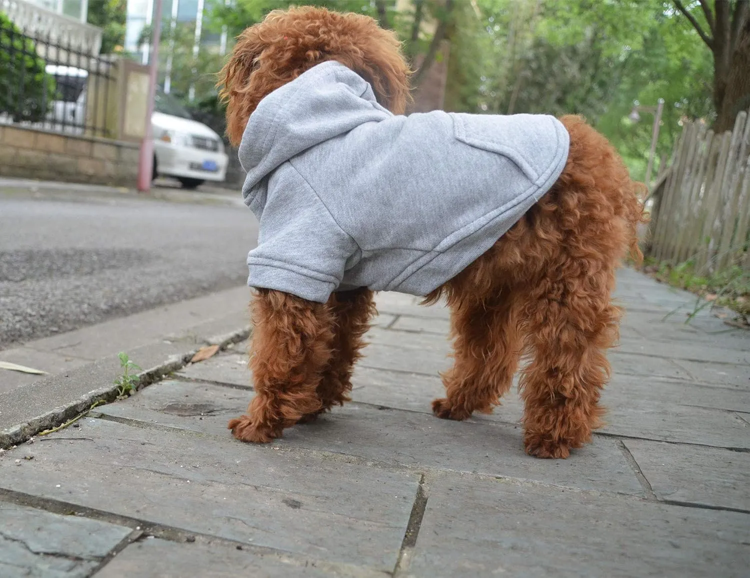 Lovelonglong Blank Basic Hoodie Sweatshirt for Dogs 100% Cotton Fits Small Medium Dachshund Large Dog Gray XL
