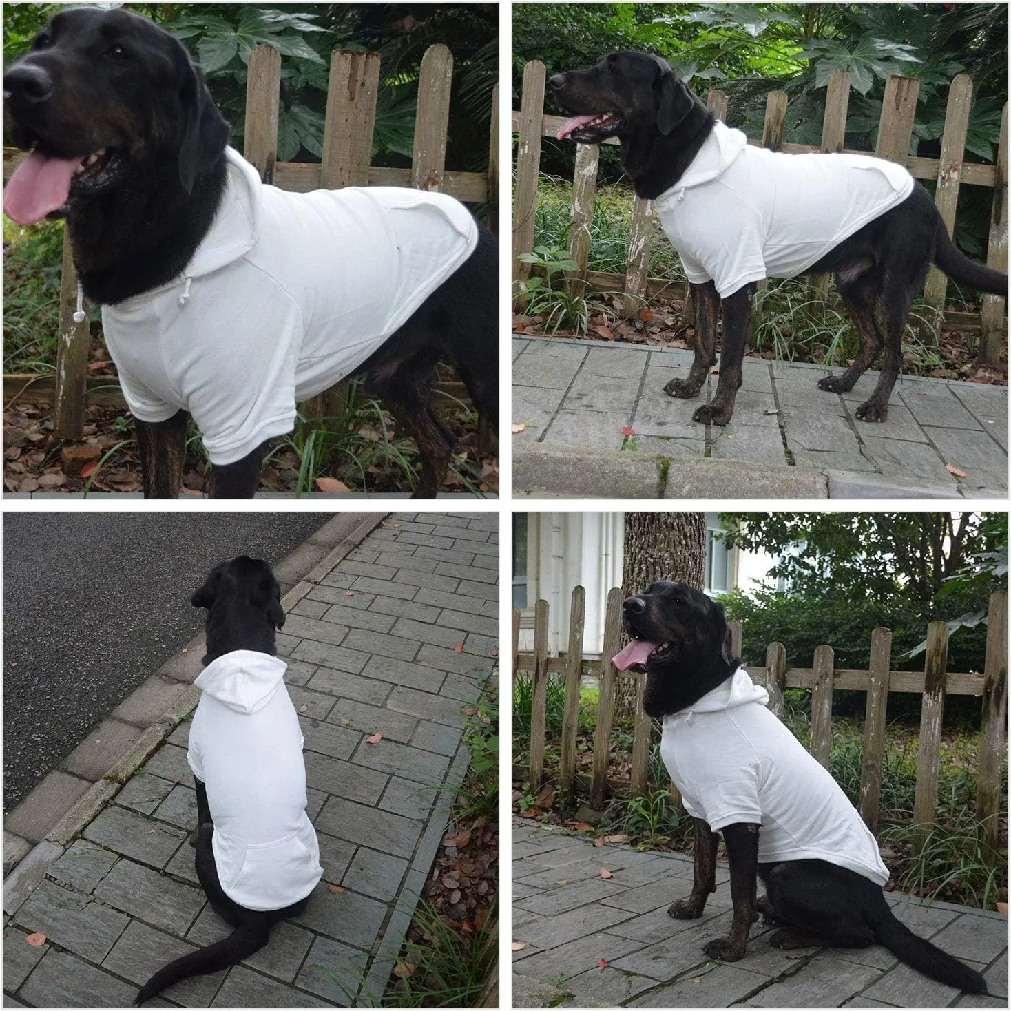 Lovelonglong Blank Basic Hoodie Sweatshirt for Dogs 100% Cotton Fits Small Medium Dachshund Large Dog Off White XL
