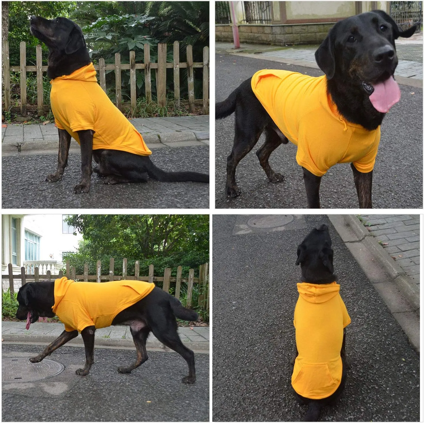 Lovelonglong Blank Basic Hoodie Sweatshirt for Dogs 100% Cotton Fits Small Medium Dachshund Large Dog Orange XL