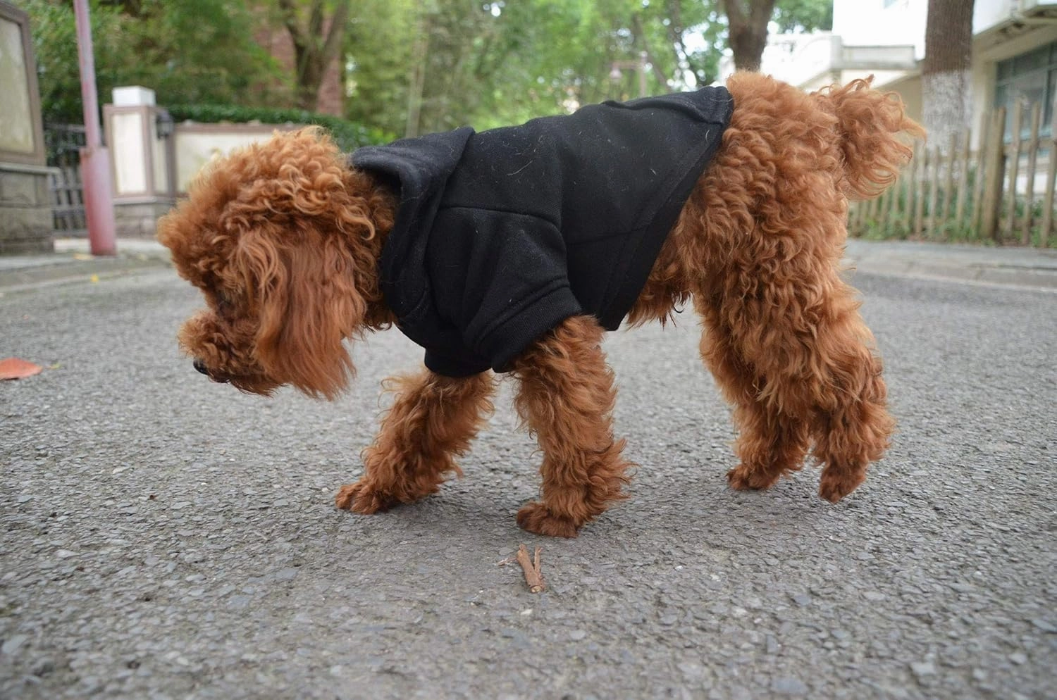 Lovelonglong Blank Basic Hoodie Sweatshirt for Dogs 100% Cotton Fits Small Medium Dachshund Large Dog Black XL
