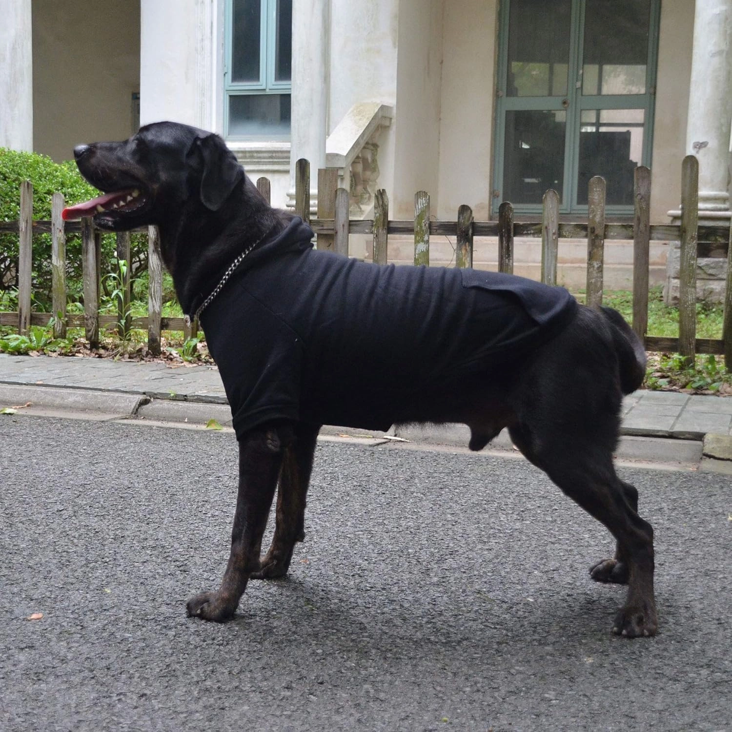 Lovelonglong Blank Basic Hoodie Sweatshirt for Dogs 100% Cotton Fits Small Medium Dachshund Large Dog Black XL