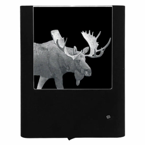Moose