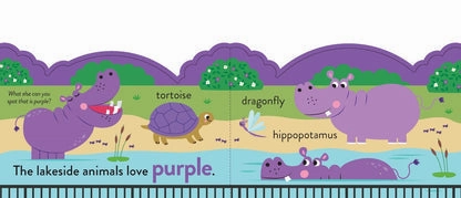 My First Colours At The Zoo Book