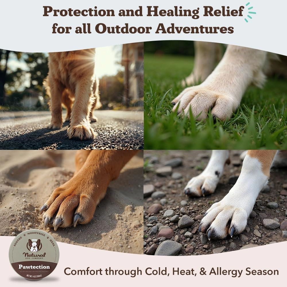 Natural Dog Company PawTection Balm for Dogs, Dog Paw Protector, Moisturizing Dog Paw Balm for Dry, Cracked Pad, Protects Paw from Extreme Weather, Paw Lotion for Allergies & Itching (2 oz Tin)