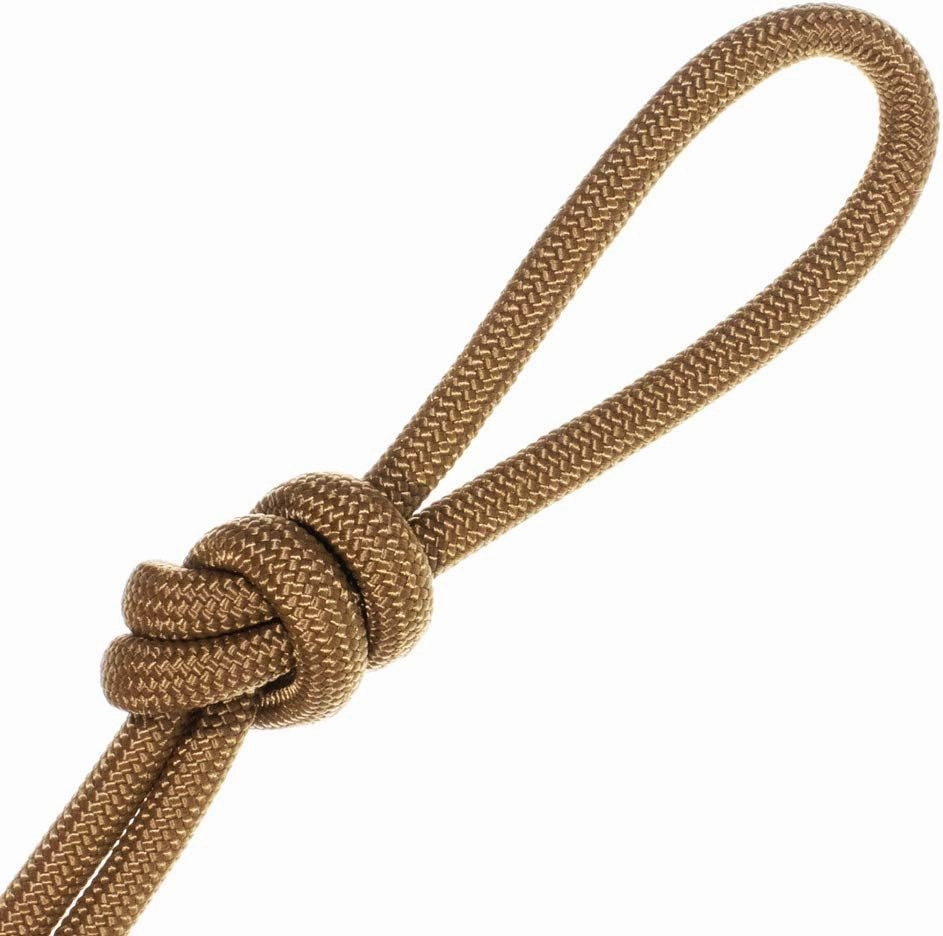 Nylon Accessory Cord 1/4 Inch (6 MM) and 5/16 Inch (8 MM) Paramax Nylon Cord - All-Purpose Utility - for Dog and Pet Collars, Belts, Gear Bundles, Tie-Downs, Horse Halters (50 Feet and 100 Feet)