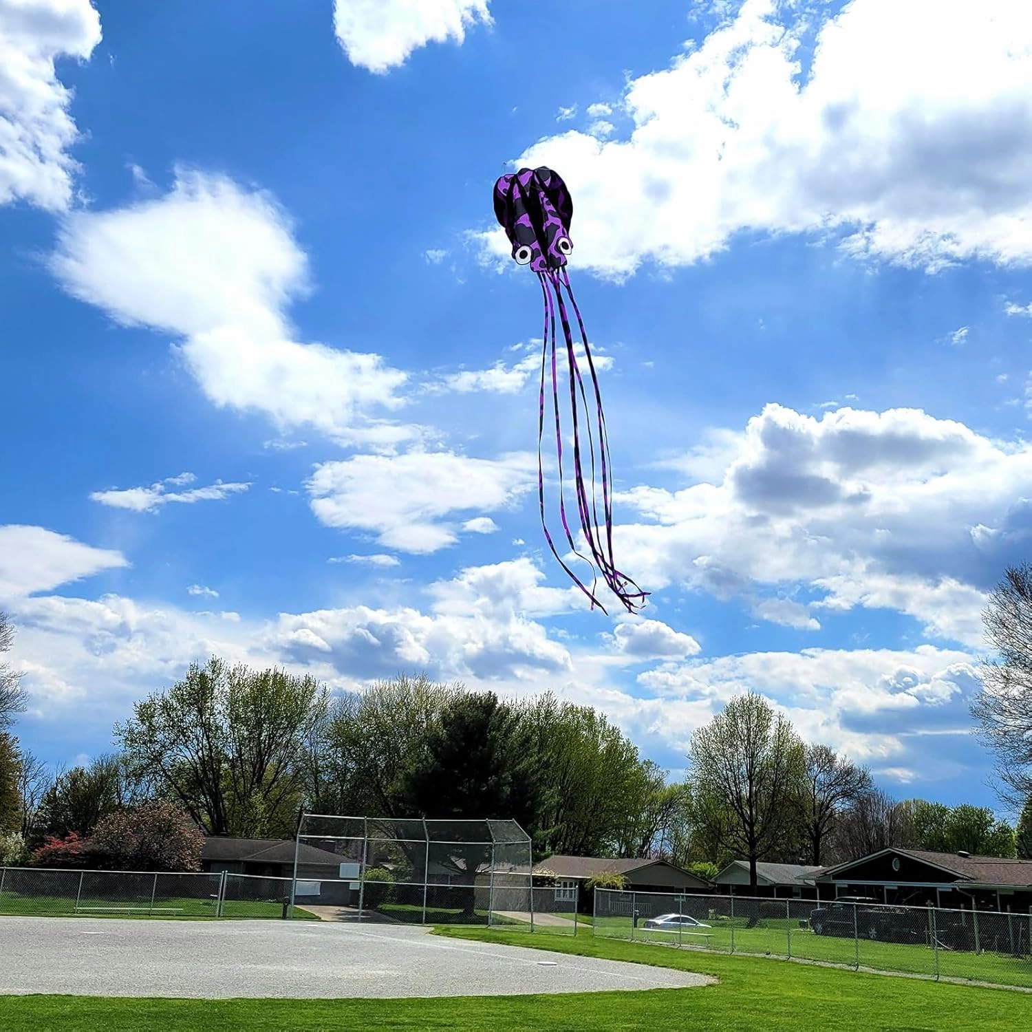 Octopus Kites for Kids & Adults Easy to Fly, 24”x 158” Large Soft Kite Kit for Boys and Girls, Single Line 3D Beach Kite Set for Teens,Perfect for Outdoor Activities