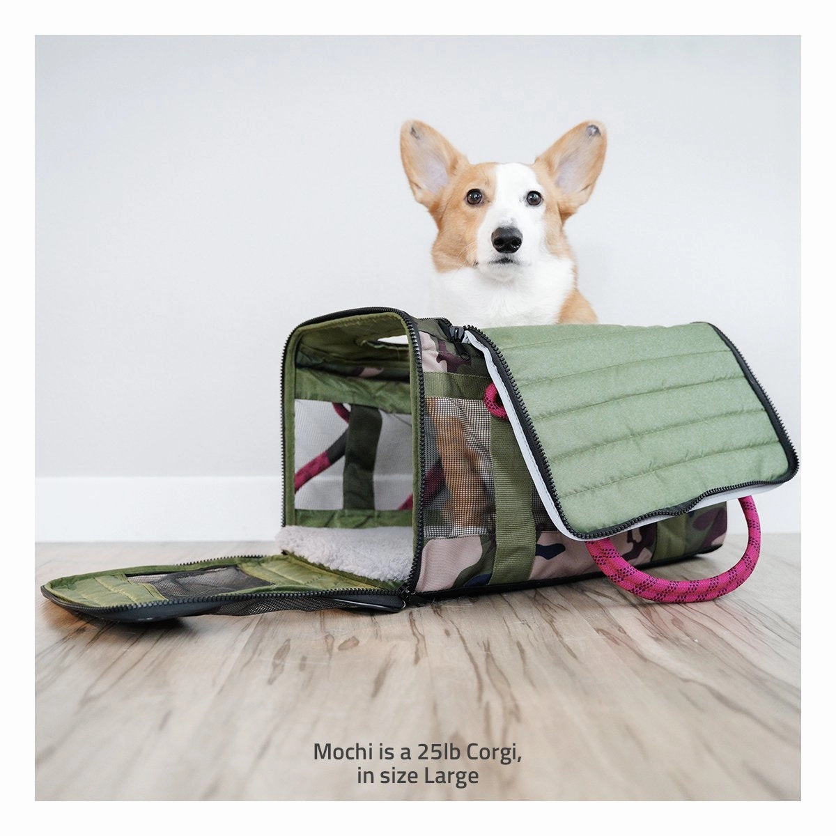 Out-of-Office Dog Carrier Camo/Magenta