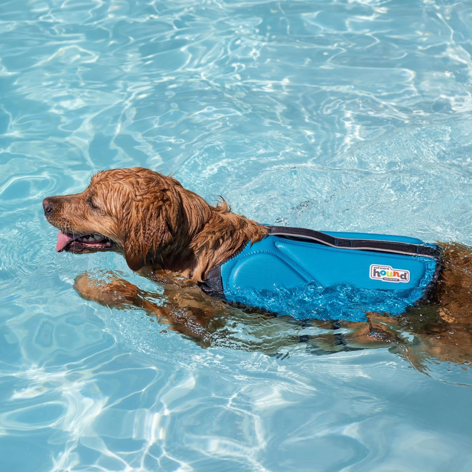 Outward Hound Dawson Swim Dog Life Jacket, High-Performance Neoprene Dog Life Vest for Swimming, Boating, and Water Safety, Large, Blue