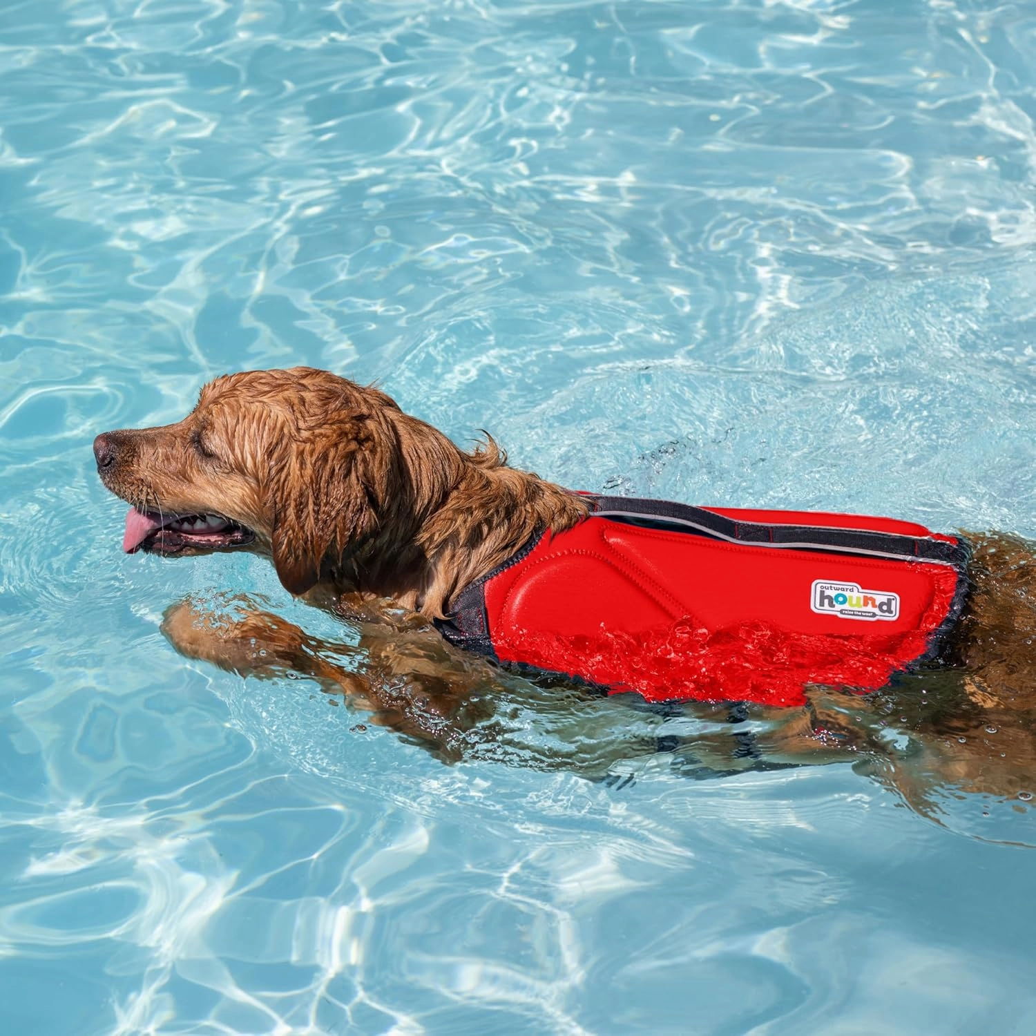 Outward Hound Dawson Swim Dog Life Jacket, High-Performance Neoprene Dog Life Vest for Swimming, Boating, and Water Safety, Large, Red