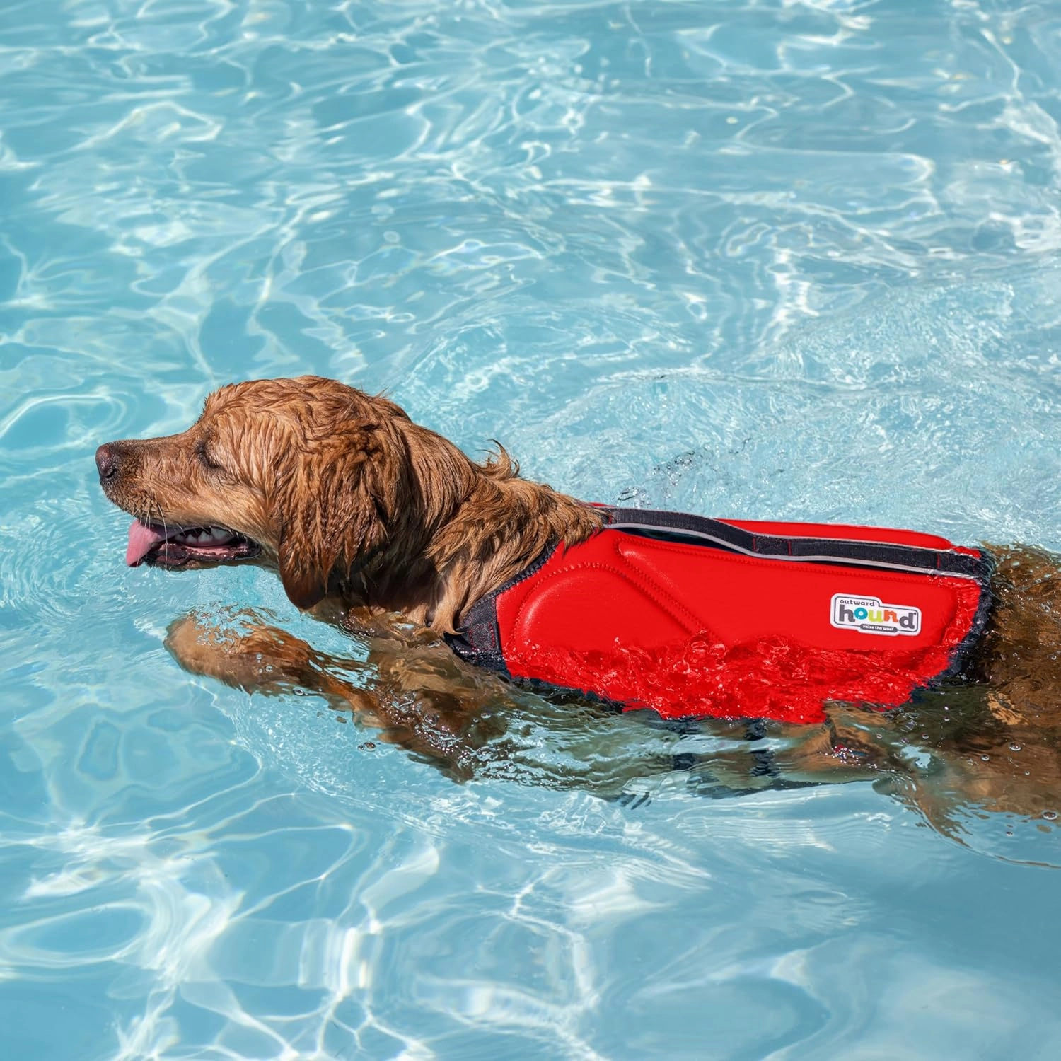 Outward Hound Dawson Swim Dog Life Jacket, High-Performance Neoprene Dog Life Vest for Swimming, Boating, and Water Safety, Large, Red