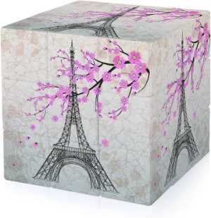 Pairs Eiffel Tower Adults 3x3x3 Color-Matching Smooth Fully Printed Cube Gift