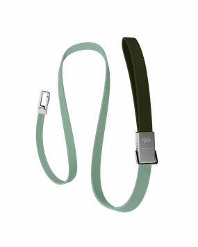 Pet Lead