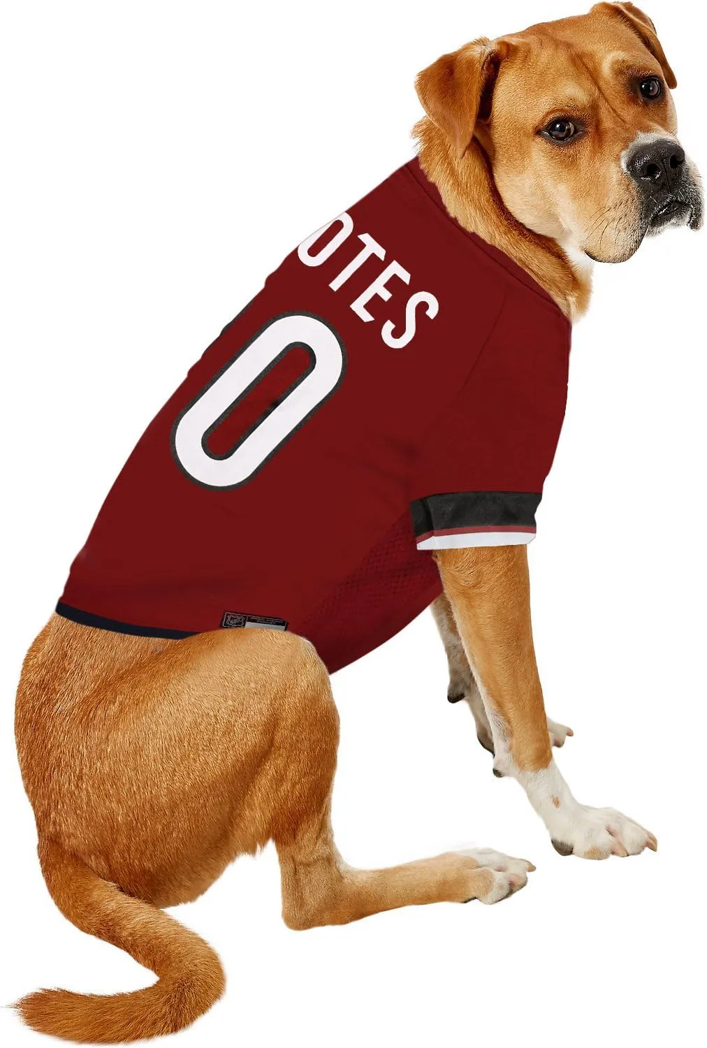 Pets First NHL Arizona Coyotes Jersey for Dogs & Cats, Medium. - Let Your Pet Be A Real NHL Fan!