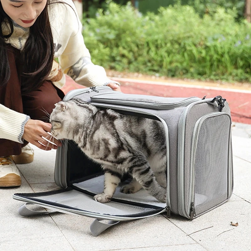 Portable Soft Side Pet Carrier