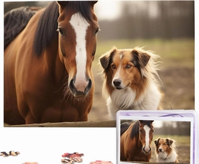 Puzzles 1000 Pieces Personalized Jigsaw Puzzles Collie Dog Horse Photo Puzzle Challenging Picture Puzzle for Adults Personaliz Jigsaw with Storage Bag (29.5" x 19.7")