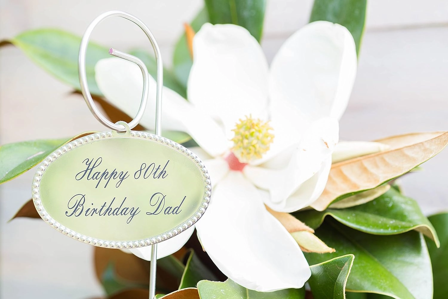 Southern Magnolia Sympathy Gift Tree by The Magnolia Company with a Personalized Stainless Steel Engraved Tag - Send a Meaningful Gift with Fragrant White Flowers - Can Not Ship to California